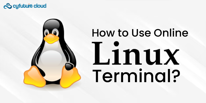 Online Linux Terminal